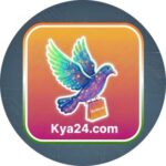 WhatsApp Image 2025-12-01 at 23.51.14_30fb4dec